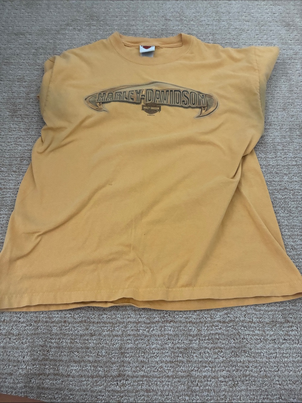 Harley-Davidson Yellow Graphic Logo Tee